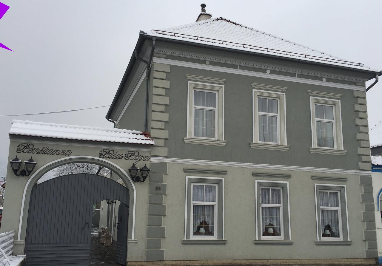Pensiunea Puiu Popa Codlea Exterior photo