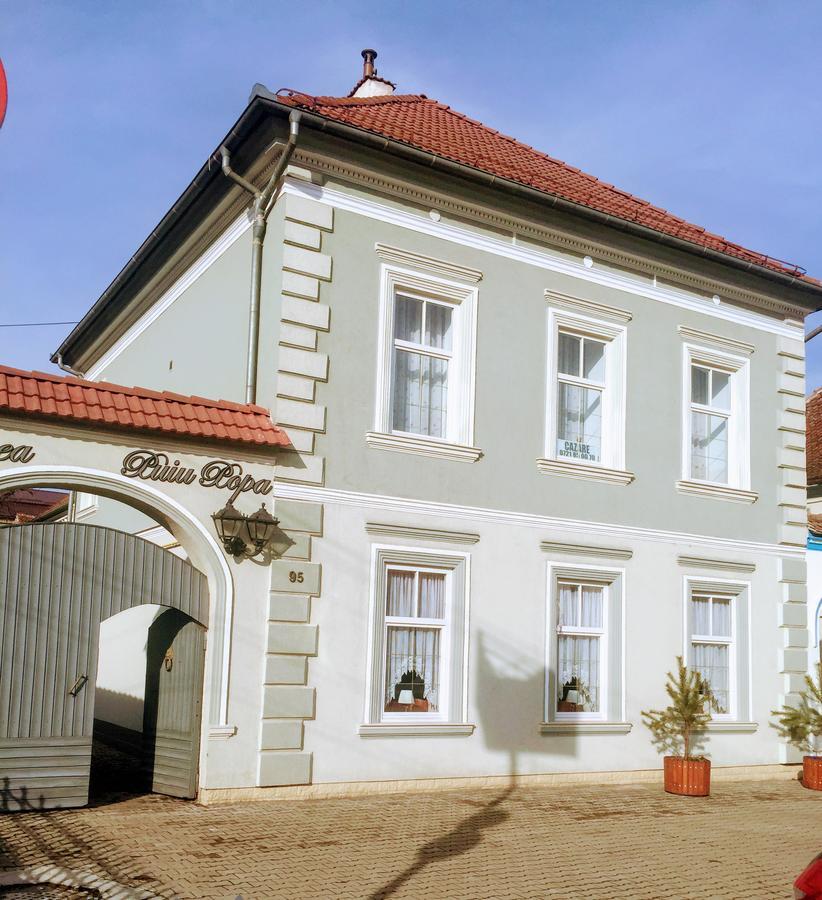 Pensiunea Puiu Popa Codlea Exterior photo