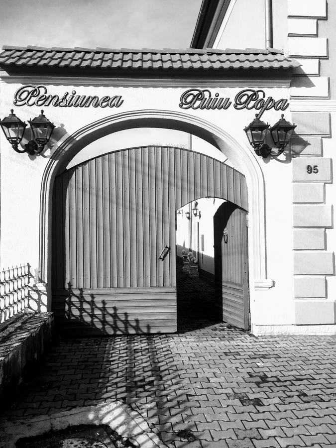 Pensiunea Puiu Popa Codlea Exterior photo